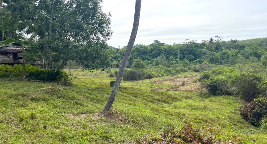 出售 土地 在 Takua Thung, Phangnga