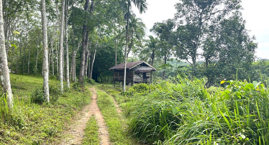 出售 土地 在 Takua Thung, Phangnga