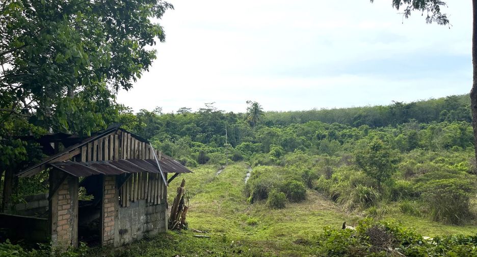 出售 土地 在 Takua Thung, Phangnga