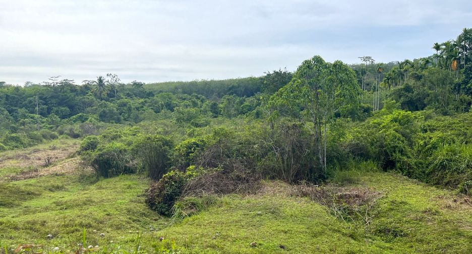 出售 土地 在 Takua Thung, Phangnga
