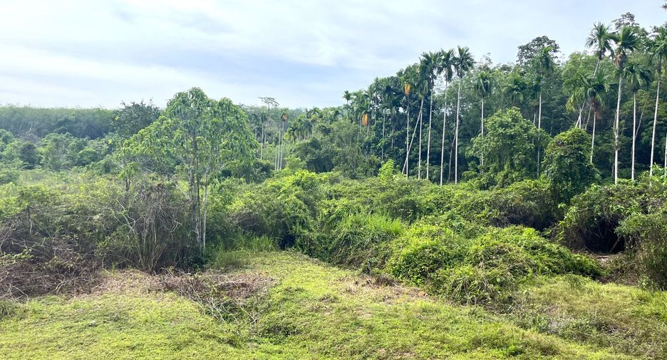 出售 土地 在 Takua Thung, Phangnga