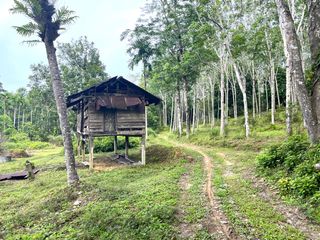 Продажа Участок в Takua Thung, Пханга