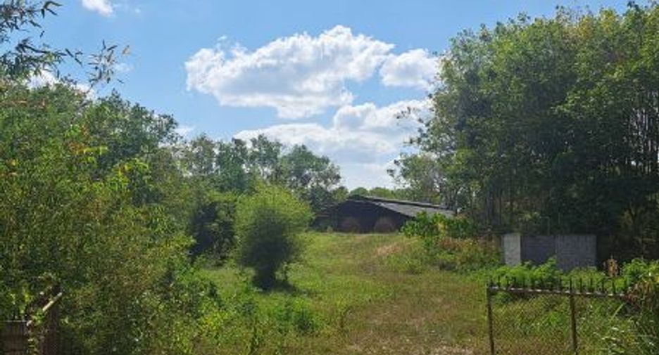 For sale land in Ron Phibun, Nakhon Si Thammarat
