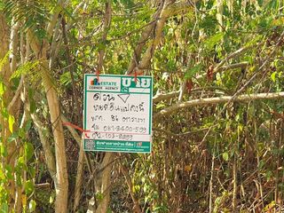ขาย ที่ดิน ใน เมืองเชียงราย, เชียงราย