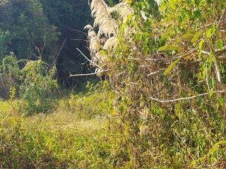 ขาย ที่ดิน ใน เมืองเชียงราย, เชียงราย