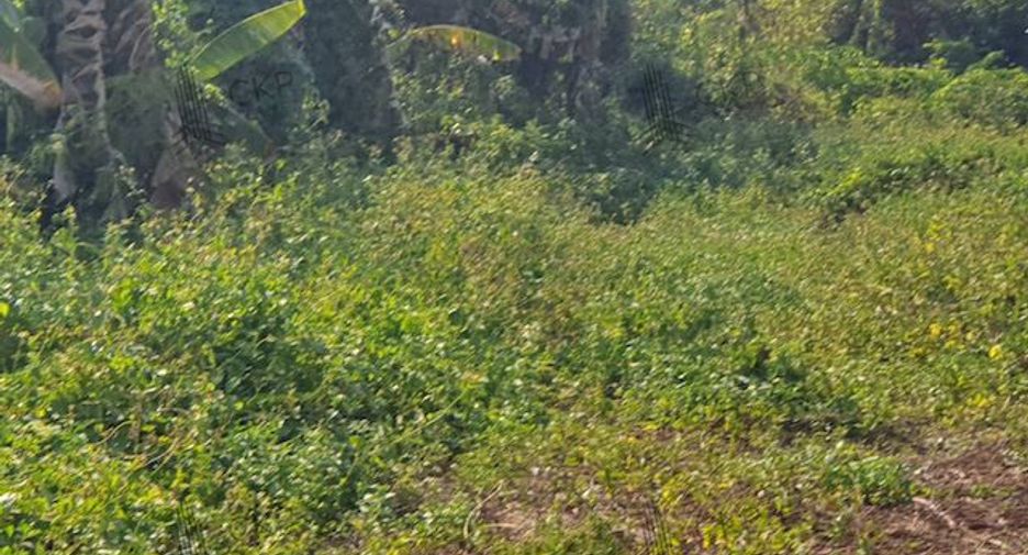 Terreno en venta en Mueang Chiang Rai, Chiang Rai