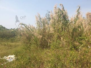ขาย ที่ดิน ใน เมืองเชียงราย, เชียงราย