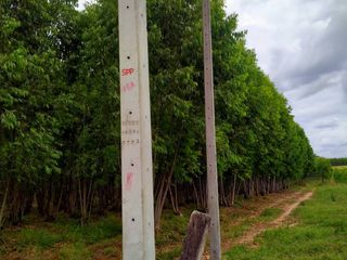 For sale land in Bo Thong, Chonburi