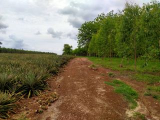 For sale land in Bo Thong, Chonburi