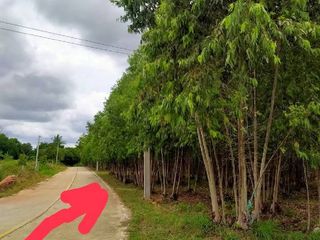 For sale land in Bo Thong, Chonburi