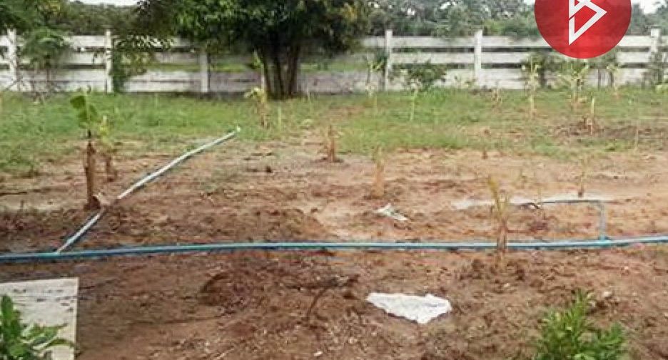 For sale land in Song Phi Nong, Suphan Buri