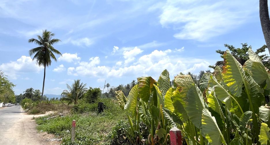 出售 土地 在 Takua Pa, Phangnga