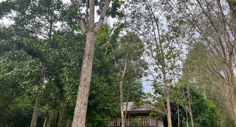 Grundstück zum Kauf in Takua Thung, Phang Nga