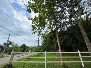 For sale land in Takua Thung, Phang Nga