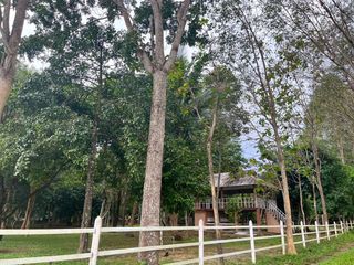 For sale land in Takua Thung, Phang Nga