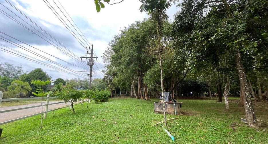 Grundstück zum Kauf in Takua Thung, Phang Nga