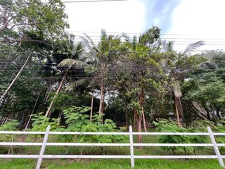 For sale land in Takua Thung, Phang Nga