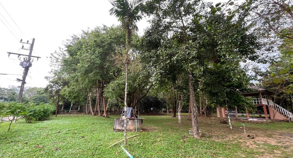 Grundstück zum Kauf in Takua Thung, Phang Nga