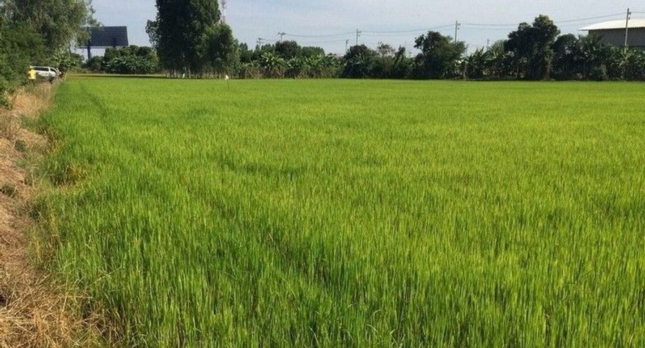 For sale land in Sapphaya, Chainat