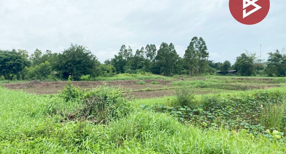 For sale land in Dok Khamtai, Phayao