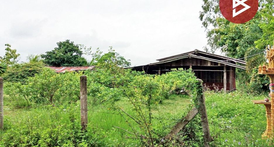 For sale land in Dok Khamtai, Phayao