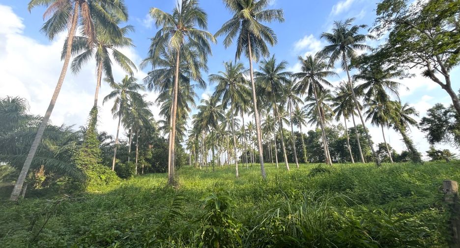 À vendre terrain à Thai Mueang, Phang Nga
