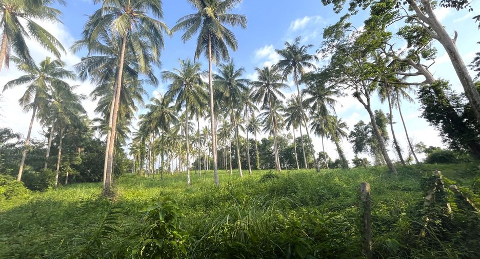 À vendre terrain à Thai Mueang, Phang Nga