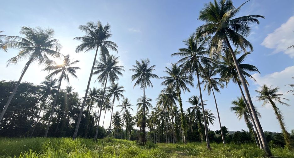 À vendre terrain à Thai Mueang, Phang Nga
