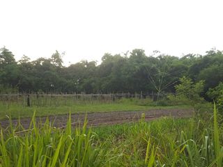 For sale land in Ban Bueng, Chonburi