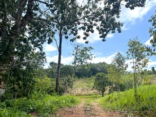 For sale land in Takua Thung, Phang Nga