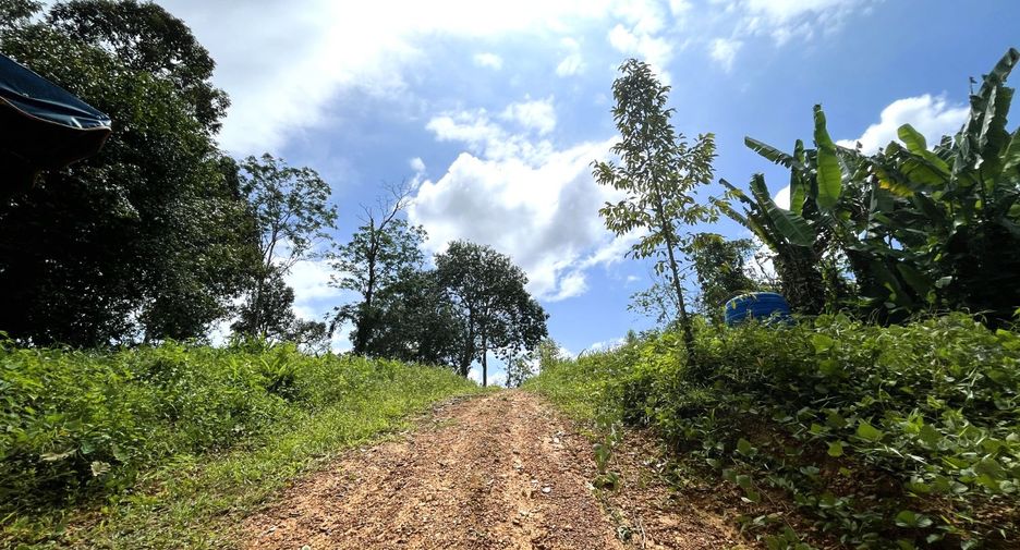 For sale land in Takua Thung, Phang Nga