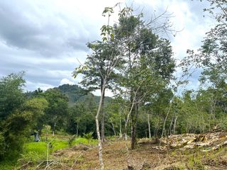 For sale land in Takua Thung, Phang Nga