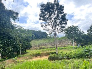 For sale land in Takua Thung, Phang Nga