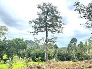 For sale land in Takua Thung, Phang Nga
