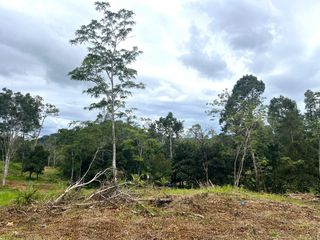 For sale land in Takua Thung, Phang Nga
