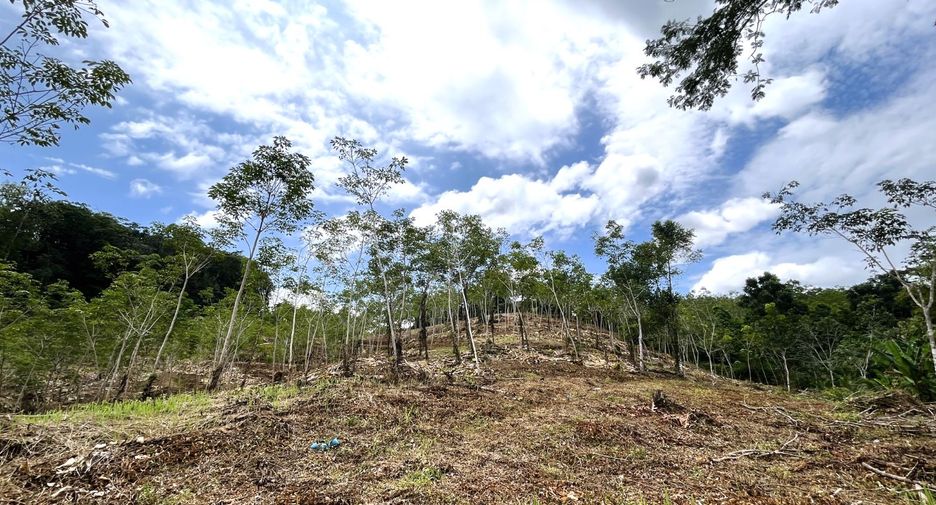 For sale land in Takua Thung, Phang Nga