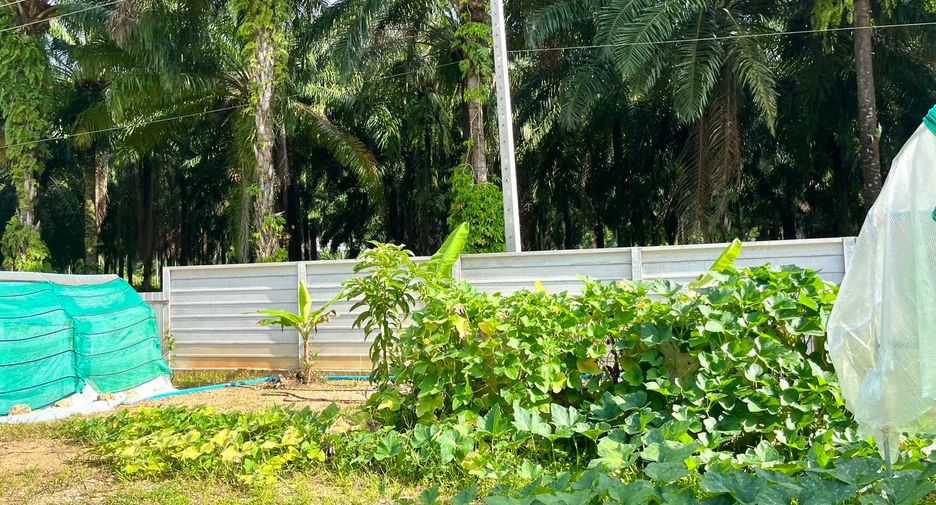 Grundstück zum Kauf in Mueang Krabi, Krabi
