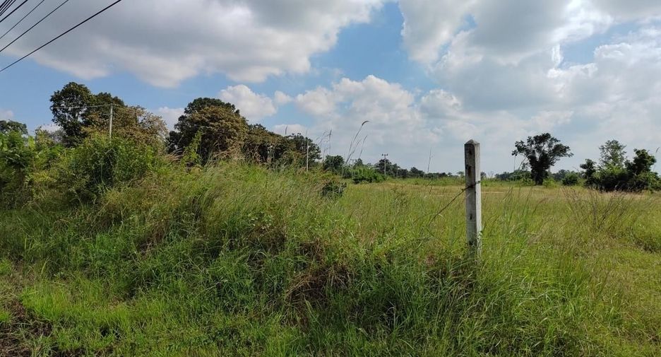 For sale land in Lam Plai Mat, Buriram