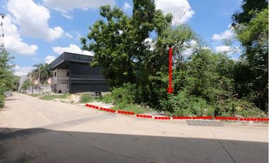 Продажа Участок в Саи Маи, Бангкок