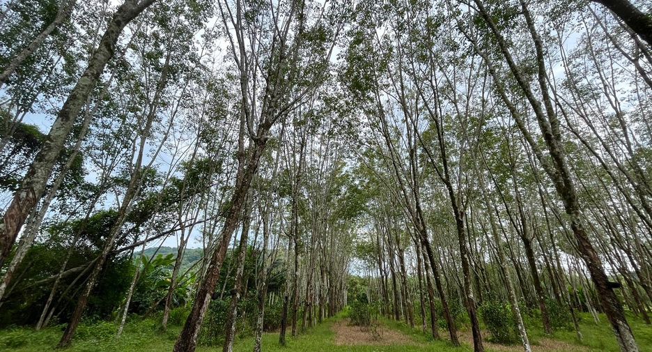 For sale land in Thalang, Phuket
