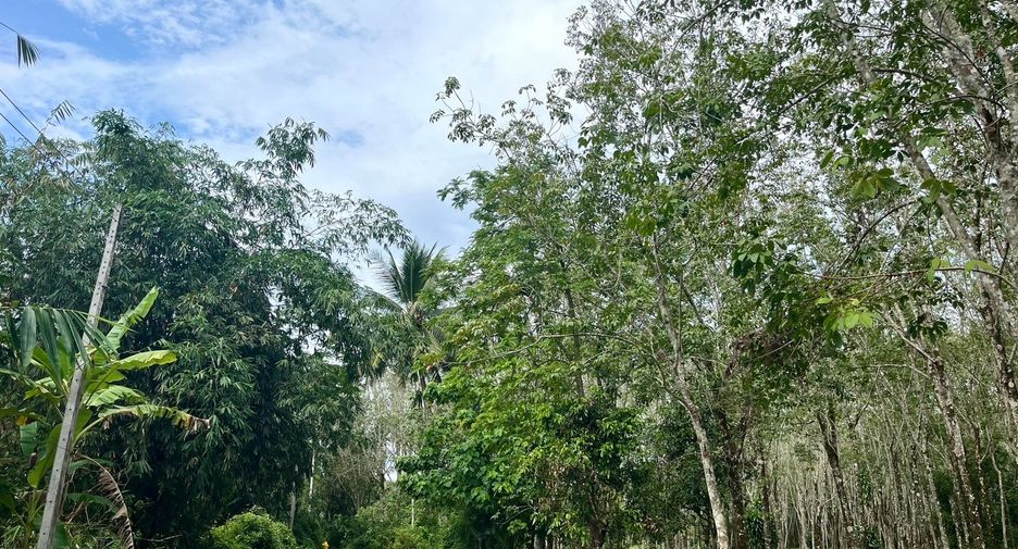For sale land in Thalang, Phuket