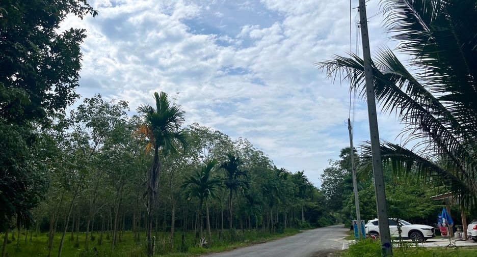 For sale land in Thalang, Phuket