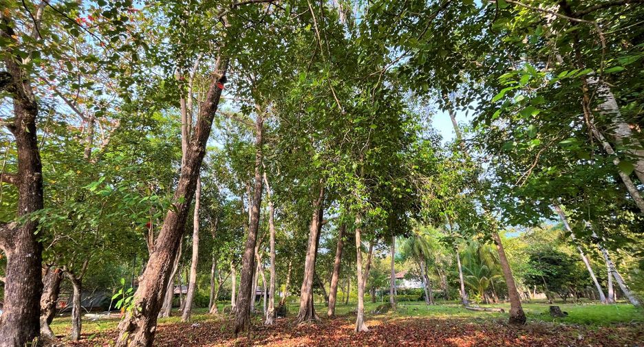 ขาย ที่ดิน ใน เมืองกระบี่, กระบี่