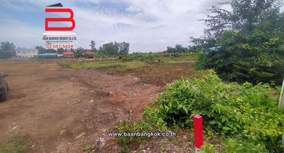 For sale land in Wang Noi, Phra Nakhon Si Ayutthaya
