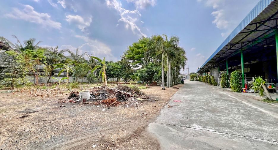 For rent and for sale land in Phanat Nikhom, Chonburi