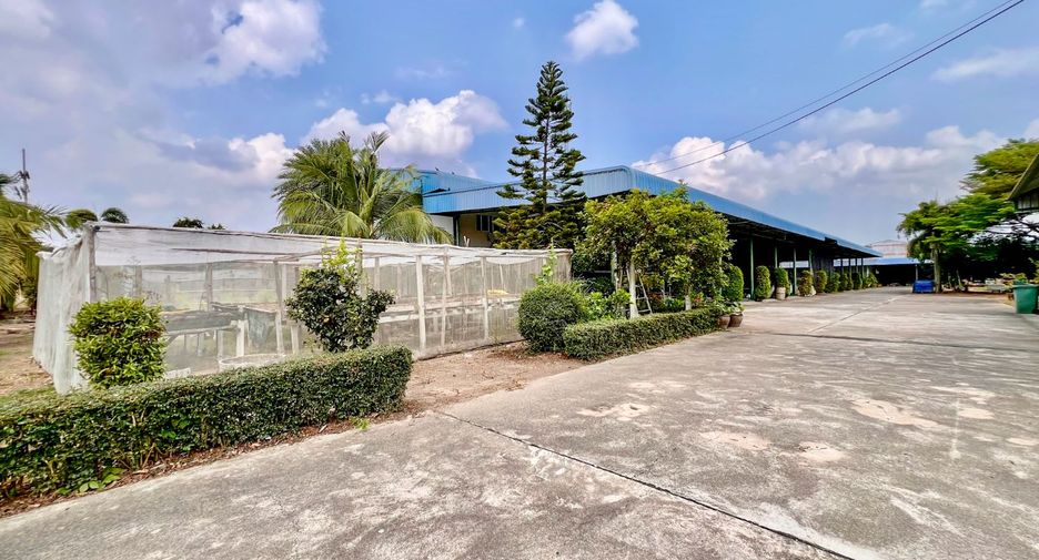 For rent そして for sale land in Phanat Nikhom, Chonburi