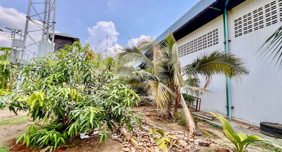 For rent and for sale land in Phanat Nikhom, Chonburi