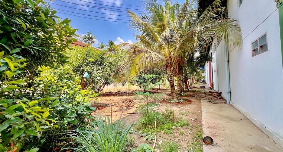 For rent and for sale land in Phanat Nikhom, Chonburi