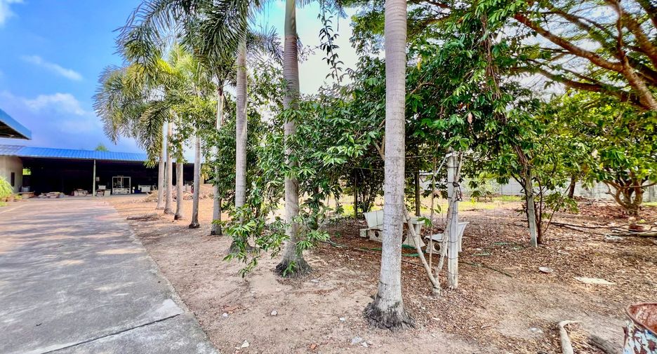 For rent and for sale land in Phanat Nikhom, Chonburi