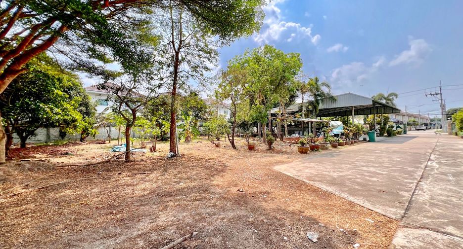 For rent and for sale land in Phanat Nikhom, Chonburi